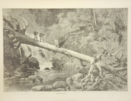 Reclus, Armand. Exploracones á los Istmos de Panamá y Darien en 1876, 1877 y 1878. Madrid, Juan Vidal, 1881, p. 159 
